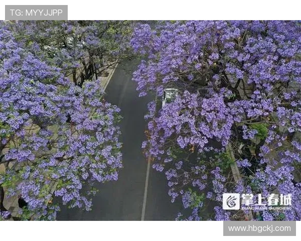 外交部点赞！威海海上足球场凭啥火出圈？